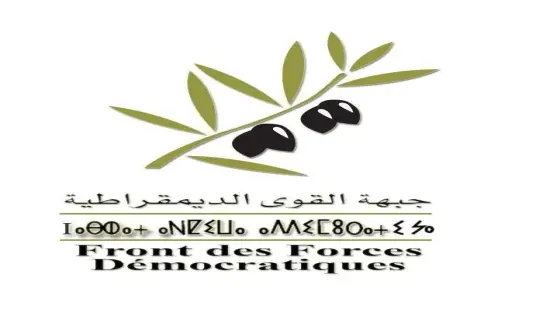رسميا.. جبهة القوى الديمقراطية تزكي مستثمرا شابا لخوض غمار الانتخابات التشريعية بدائرة إنزكان أيت ملول
