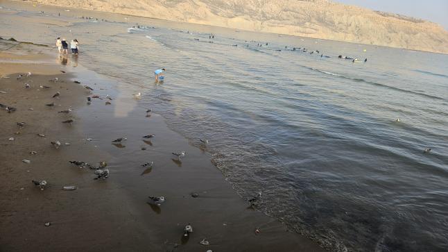 شاطئ إمسوان… جمال طبيعي يهدده الإهمال والنفايات